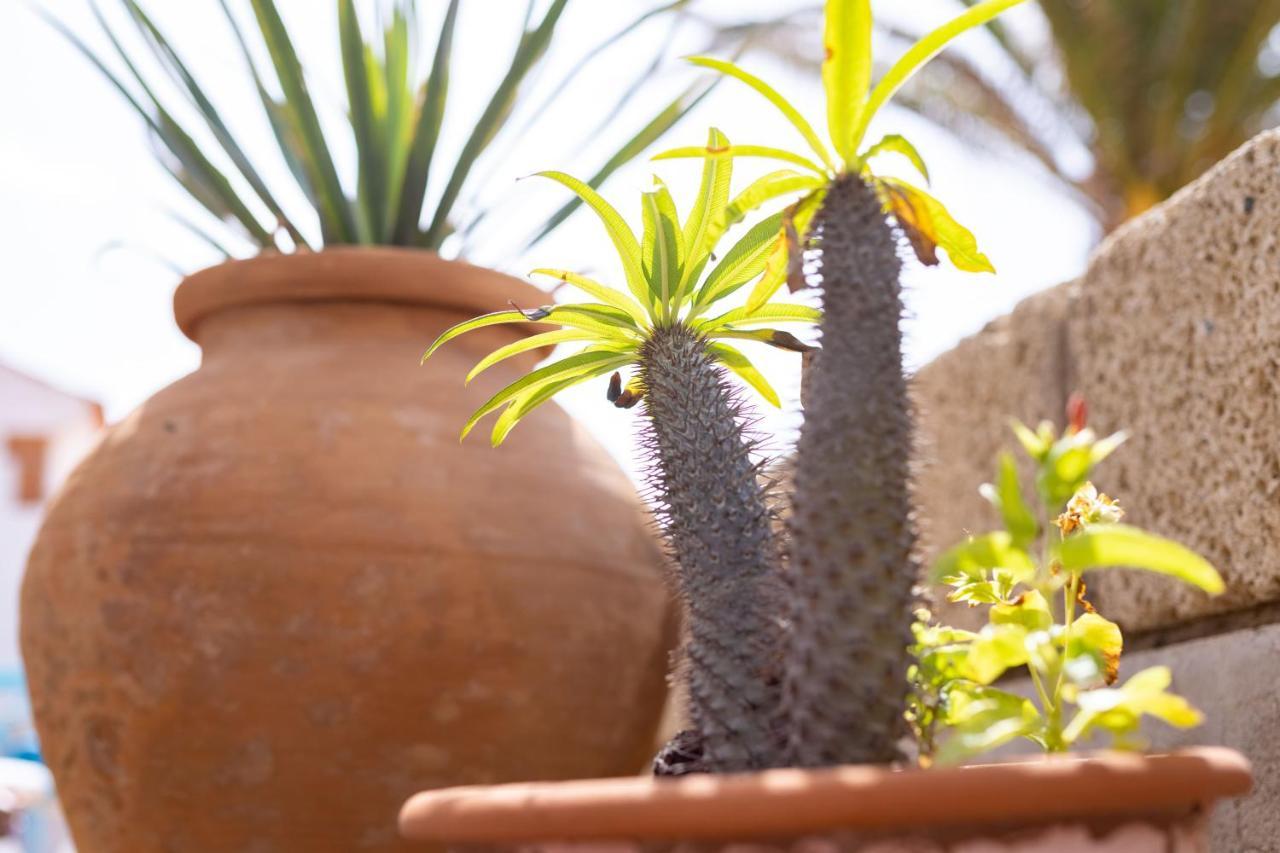 פוריס דה אבונה Casa Limon - Ocean View - Bbq - Garden - Terrace - Free Wifi - Child & Pet-Friendly - 2 Bedrooms - 6 People מראה חיצוני תמונה